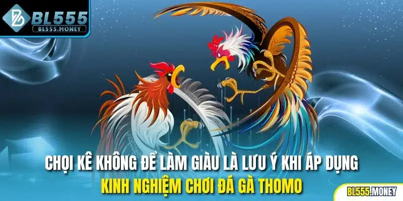 Chọi kê không để làm giàu là lưu ý khi áp dụng kinh nghiệm chơi đá gà Thomo
