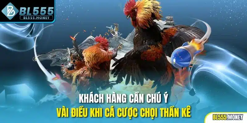 Khách hàng cần chú ý vài điều khi cá cược chọi thần kê