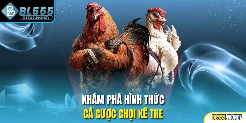 Khám phá hình thức cá cược chọi kê tre