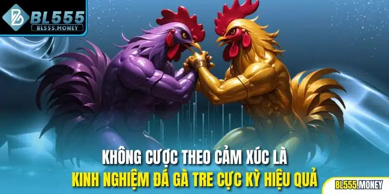 Không cược theo cảm xúc là kinh nghiệm đá gà tre cực kỳ hiệu quả