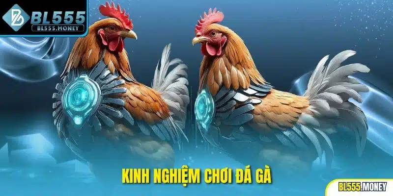 kinh nghiệm chơi đá gà