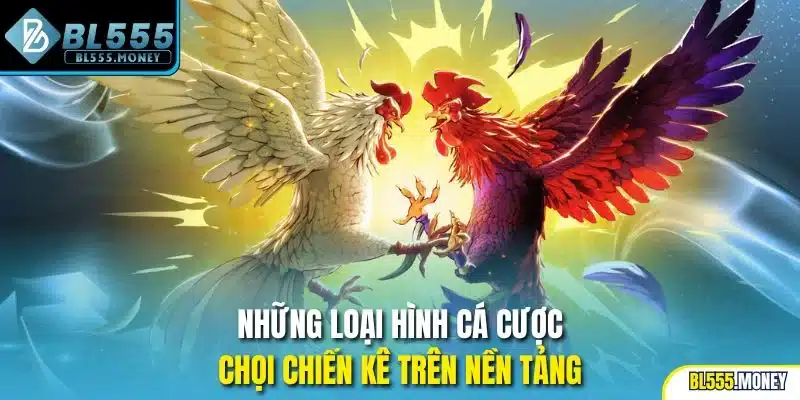 Những loại hình cá cược chọi chiến kê trên nền tảng