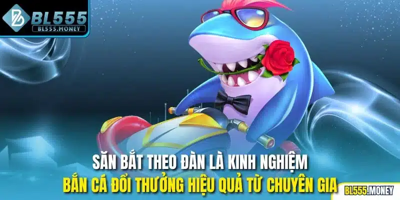 Săn bắt theo đàn là kinh nghiệm bắn cá đổi thưởng hiệu quả từ chuyên gia