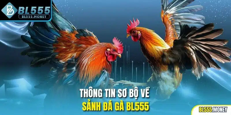 Thông tin sơ bộ về sảnh Đá Gà BL555