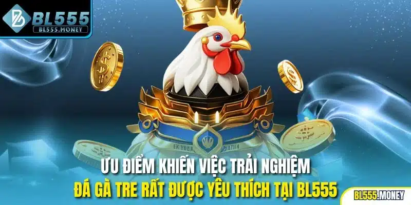 Ưu điểm khiến việc trải nghiệm đá gà tre rất được yêu thích tại BL555
